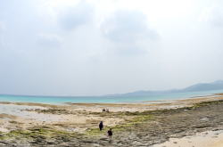 �������Ղ�C���[�W